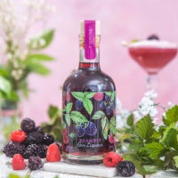 Friary Drinks Bramble Gin 