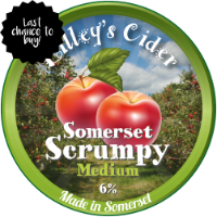 Somerset Scrumpy Medium Bag in Box