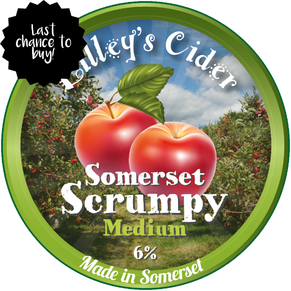 Somerset Scrumpy Medium Bag in Box